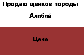 Продаю щенков породы “Алабай“ › Цена ­ 7 000 - Московская обл., Москва г. Животные и растения » Собаки   . Московская обл.,Москва г.